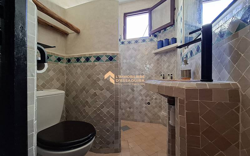 Appartement chaleureux, deux terrasses  (16)